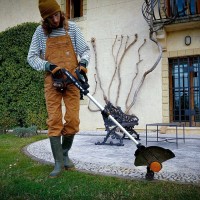 WORX WG173E Cortabordes 5 en 1 20V Máx. - Motor sin escobillas - Incluye 1 batería 20V -2Ah y Cargador 2