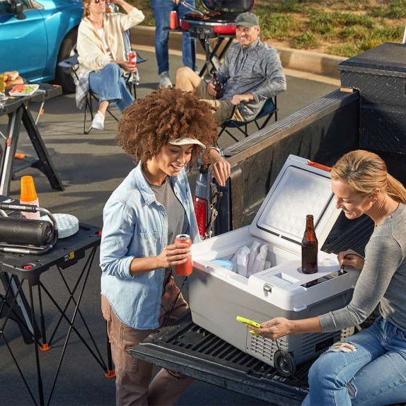 Worx WX876.9 – Nevera portátil a batería 20V PowerShare, -20 °C a +20 °C, sin batería ni cargador