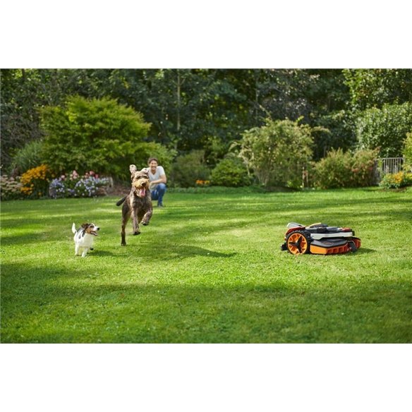 Robot cortacésped WORX WR206E | sin cable perimetral | 600 m² | cámara + IA | batería 2,0 Ah + cargador