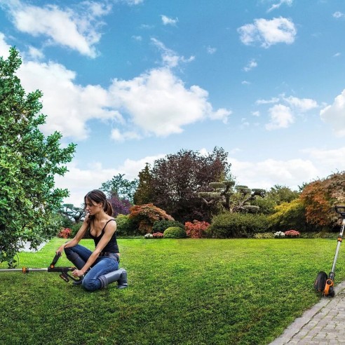 Coupe-bordures et profilage 20V Worx | PowerShare | WG163E.9 - Sans batterie ni chargeur | 30 cm