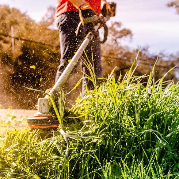 Coupe-bordures et débroussailleuse à batterie 40V Max (2 * 20V) Worx | WG186E.92 | PowerShare | N'inclut pas la batterie ni le c