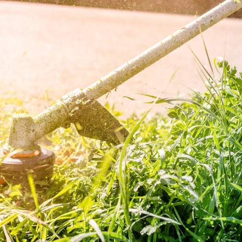 Coupe-bordures et débroussailleuse à batterie 40V Max (2 * 20V) Worx | WG186E.92 | PowerShare | N'inclut pas la batterie ni le c