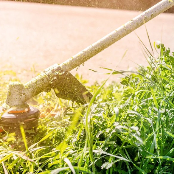 Coupe-bordures et débroussailleuse à batterie 40V Max (2 * 20V) Worx | WG186E.92 | PowerShare | N'inclut pas la batterie ni le c