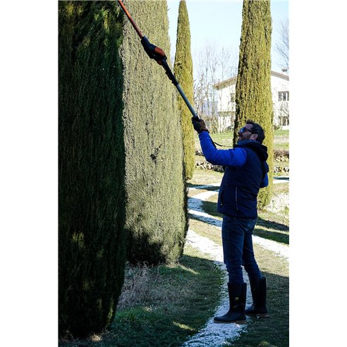 WORX WA0308 - WORX Tête de taille-haies WG252E / WG349E