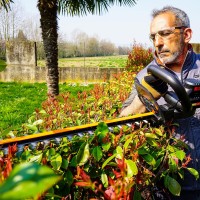 Worx WG263E Nitro – Taille-haies sans-fil 20V 4,0Ah avec chargeur, moteur sans balais, lame de 56 cm et coupe Ø27 mm 2