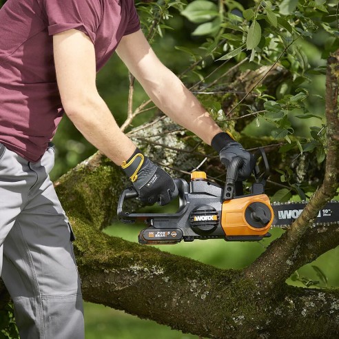 Worx WG322E.1 – Tronçonneuse à batterie 20V, lame 25 cm, tension automatique de chaîne, inclut batterie et chargeur.